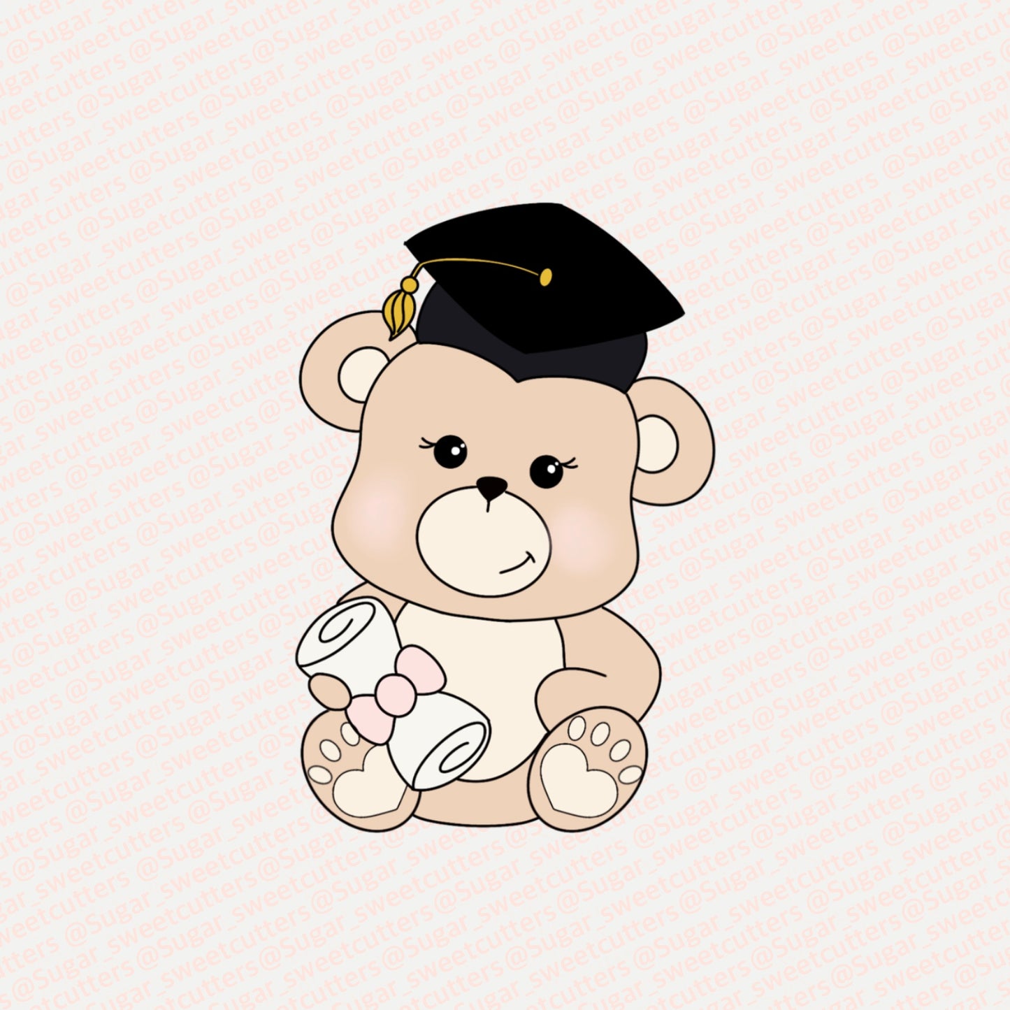 Graduation Teddy Bear